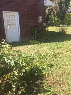 Local yard cleanup service for outdoor upgrades across Union City, TN - Hunters Lawn Care