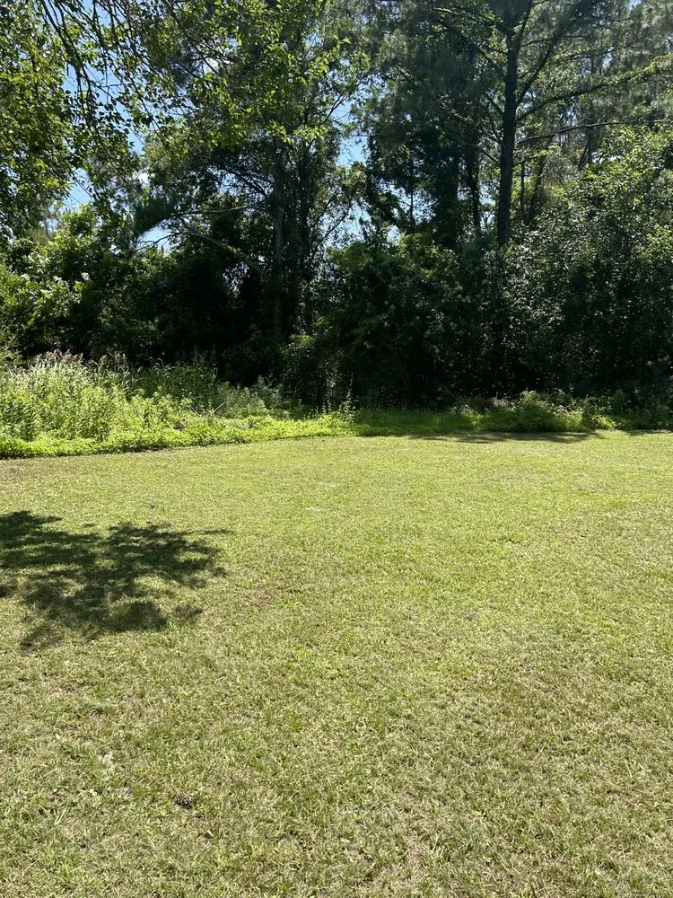 Professional yard cleanup service in Valdosta, GA - Hunter’s Lawn Care