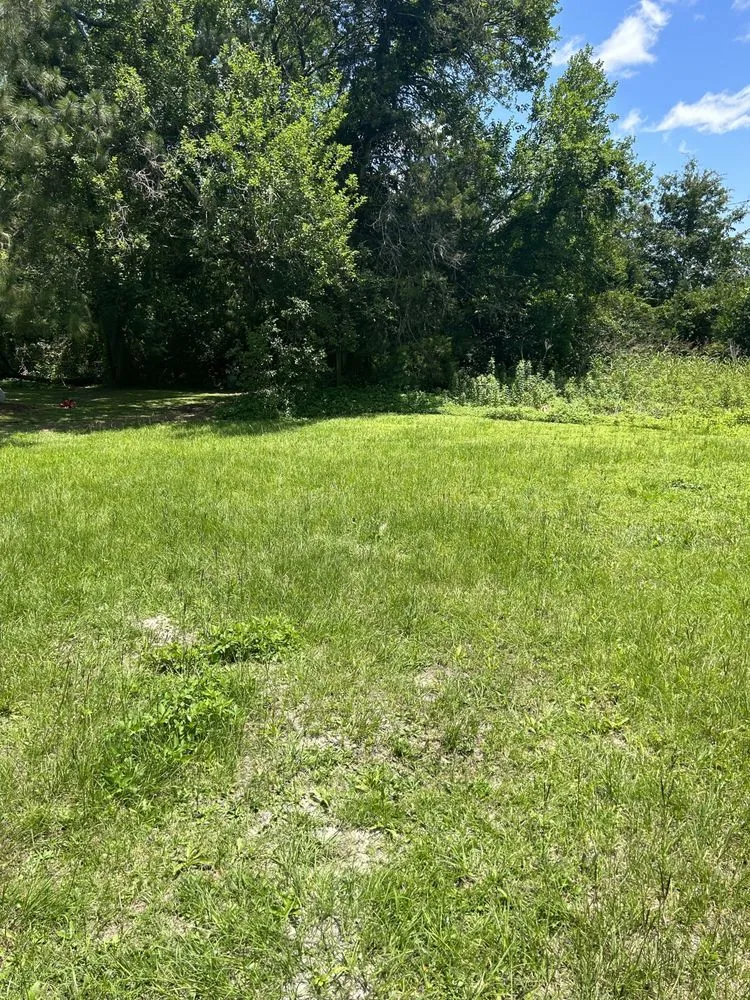 Trusted outdoor landscaping in Valdosta, GA - Hunter’s Lawn Care