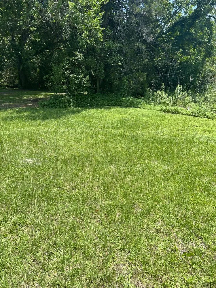 Reliable yard cleanup service for beautiful yards in Valdosta, GA by Hunter’s Lawn Care