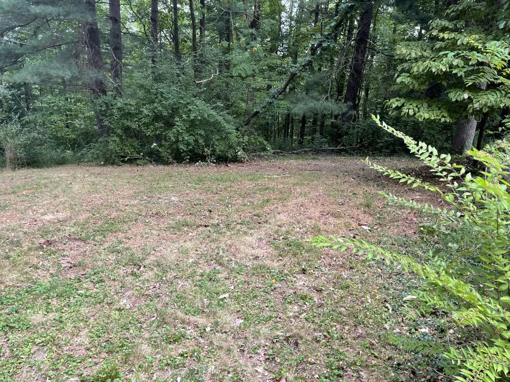 Expert outdoor landscaping experts serving Columbus, IN - Hunter’s Mowing Service