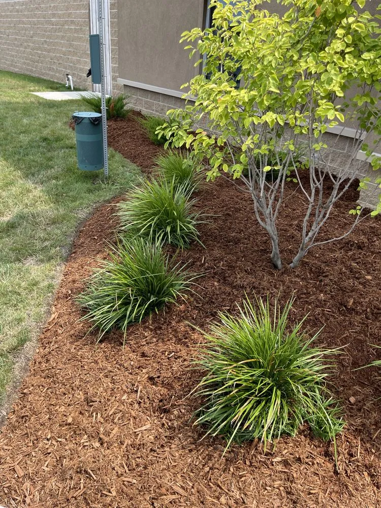 Expert yard cleanup service for homes in Columbus, IN by Hunter’s Mowing Service