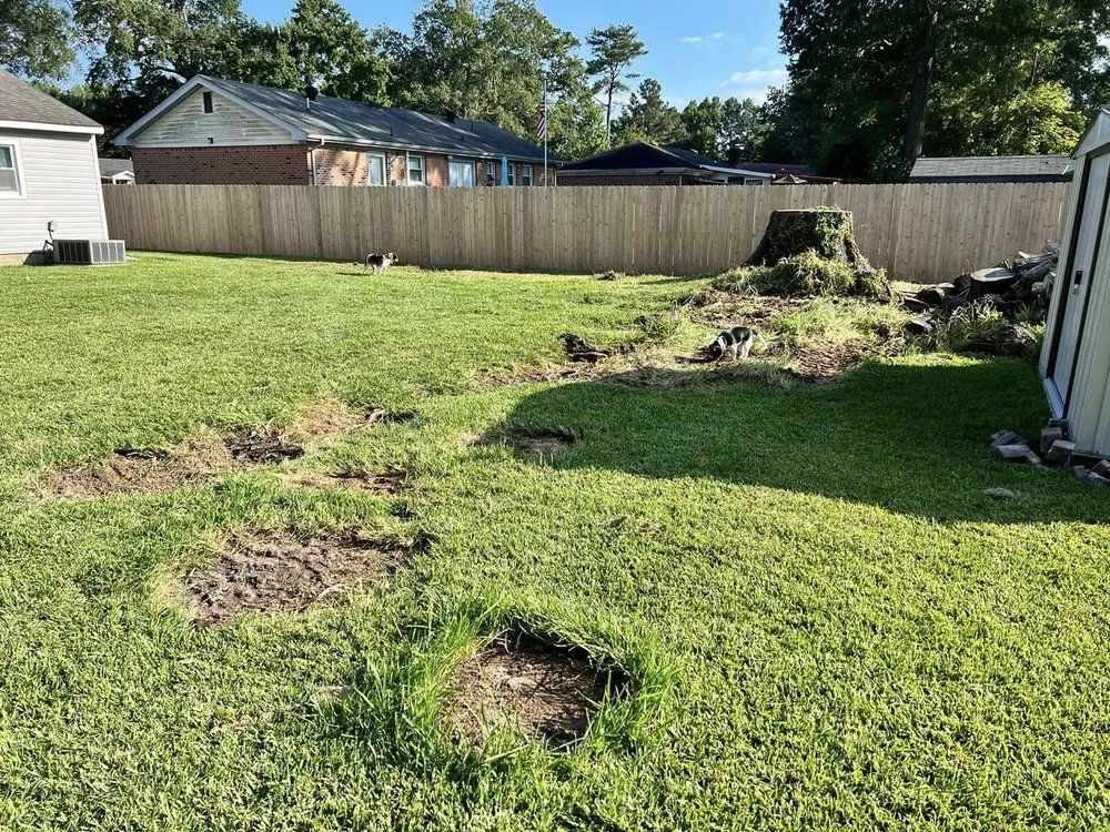 Top-rated landscaping services in Carrsville, VA - Hunter’s Tractor & Stump Grinding Services