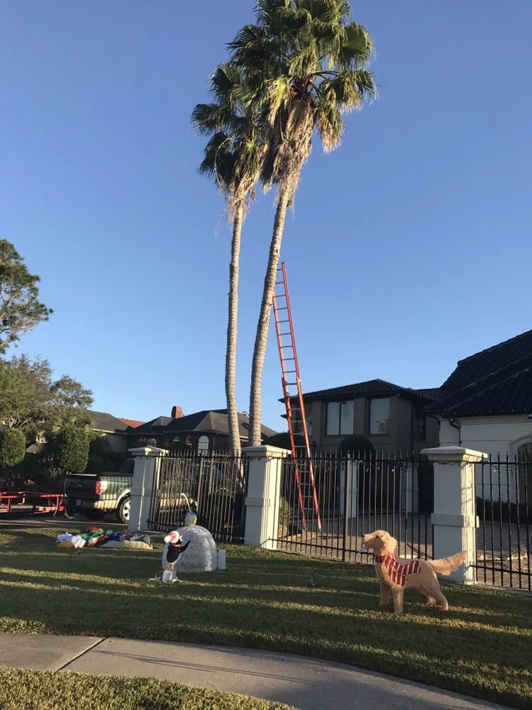 Professional yard cleanup service in Dickinson, TX - Hunter's Tree Service