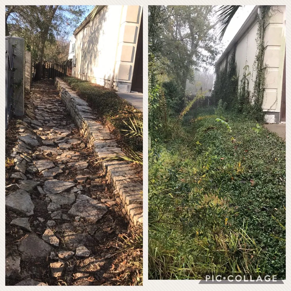 Affordable landscape design in Dickinson, TX by Hunter's Tree Service