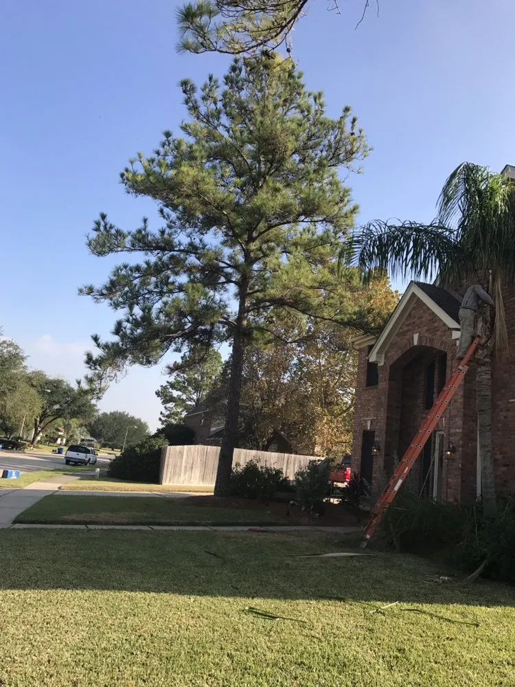 Top-rated landscaping services in Dickinson, TX by Hunter's Tree Service
