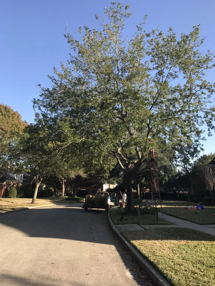 Affordable landscape design for residential properties across Dickinson, TX - Hunter's Tree Service