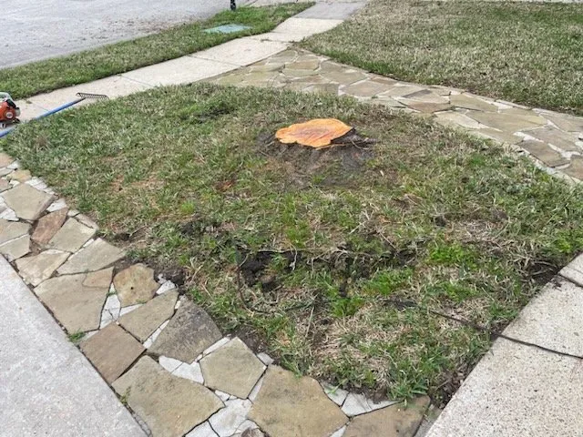 Reliable landscape design with custom design across Dickinson, TX - Hunter's Tree Service