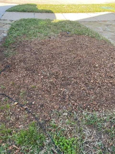 Professional landscape installation in Dickinson, TX by Hunter's Tree Service