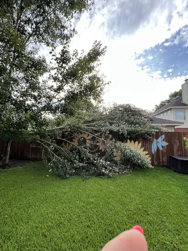 Reliable residential landscaping for homes in Dickinson, TX by Hunter's Tree Service