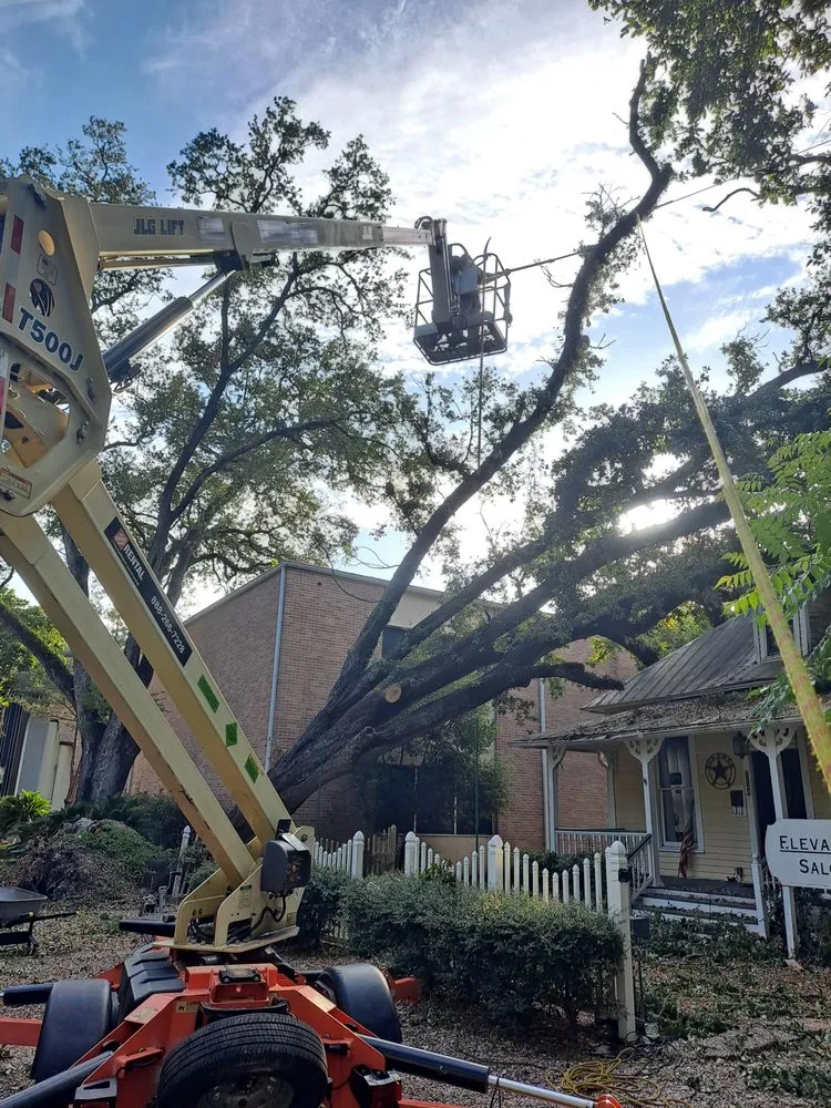 Custom landscape installation in Dickinson, TX by Hunter's Tree Service