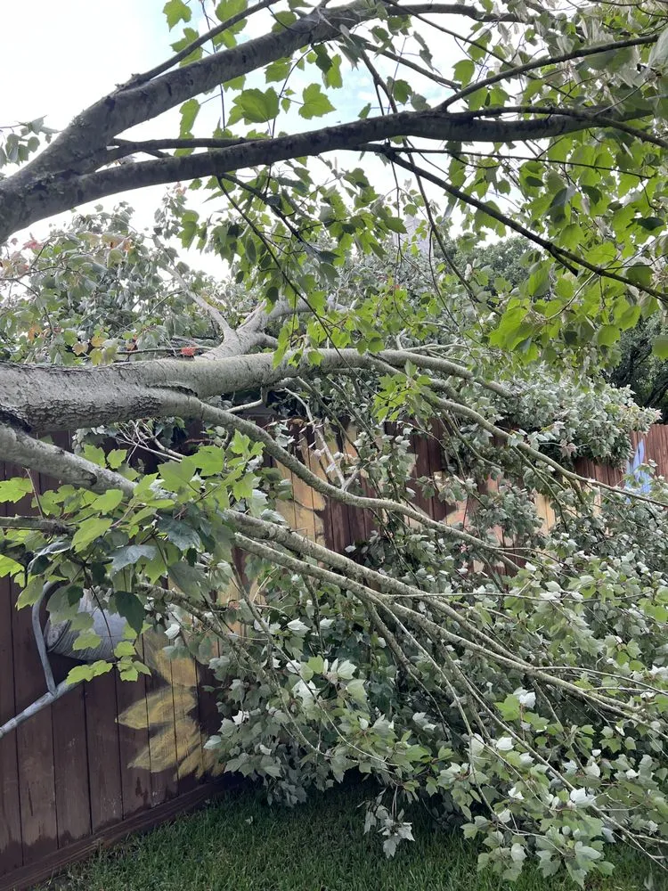 Custom residential landscaping experts serving Dickinson, TX - Hunter's Tree Service