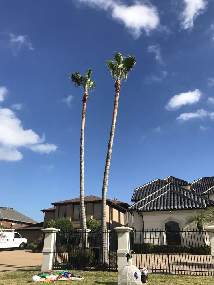 Professional residential landscaping in Dickinson, TX - Hunter's Tree Service