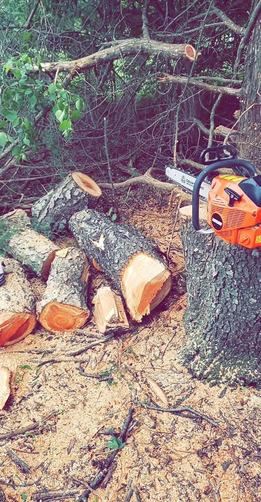 Professional yard maintenance for residential properties across Topeka, KS - Hunter's Yard Maintenance