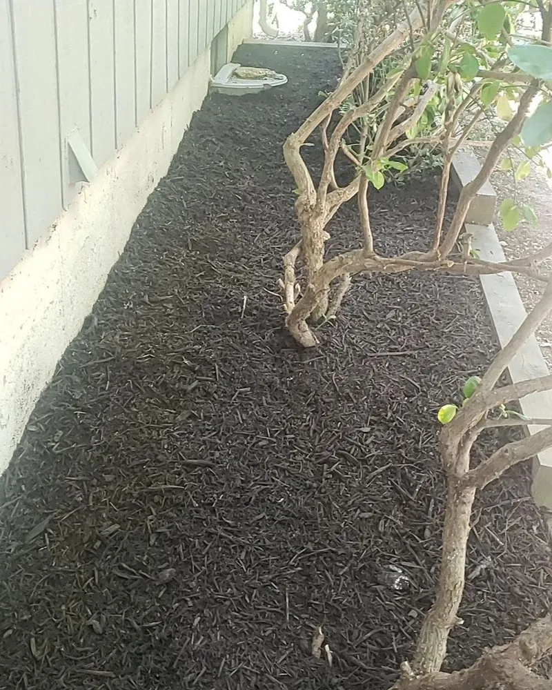 Affordable outdoor landscaping experts serving Topeka, KS - Hunter's Yard Maintenance