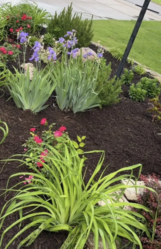 Affordable landscape design in Topeka, KS by Hunter's Yard Maintenance