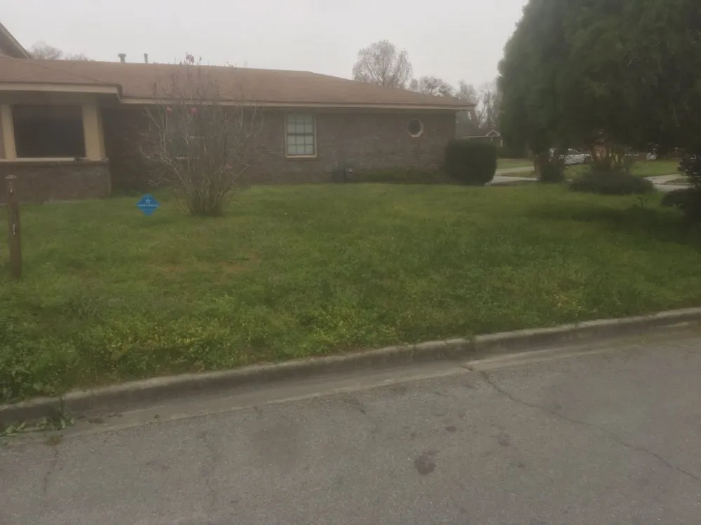 Local landscape design for beautiful yards in Savannah, GA by Huntley Lawn Care