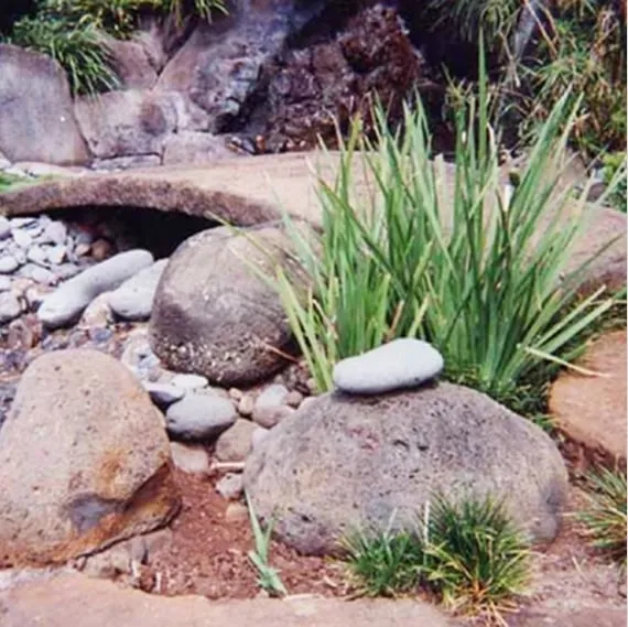 Affordable lawn care service in Makawao, HI by Hunton Conrad & Associates