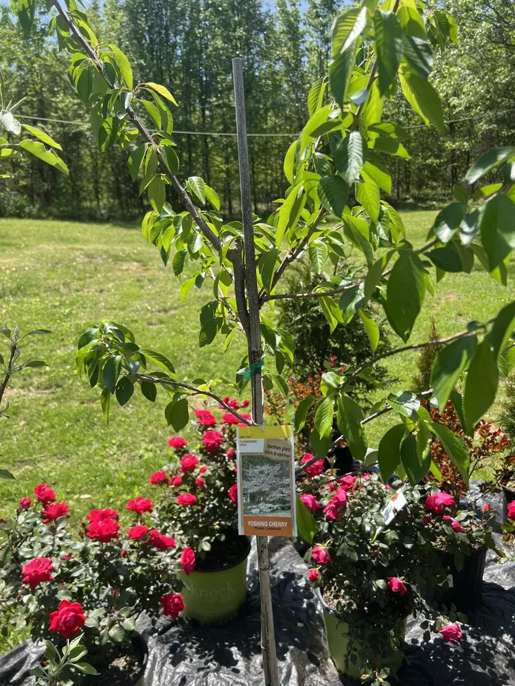 Reliable yard cleanup service experts serving Vonore, TN - Huntoon’s Landscaping