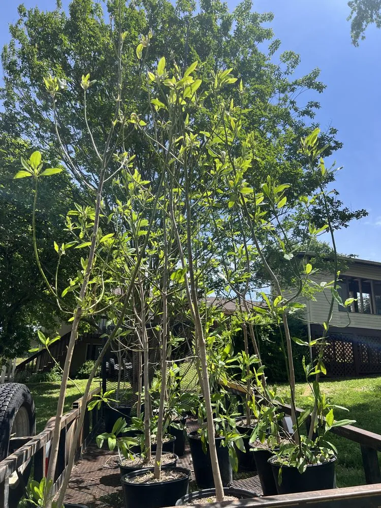 Top-rated garden landscaping in Vonore, TN by Huntoon’s Landscaping