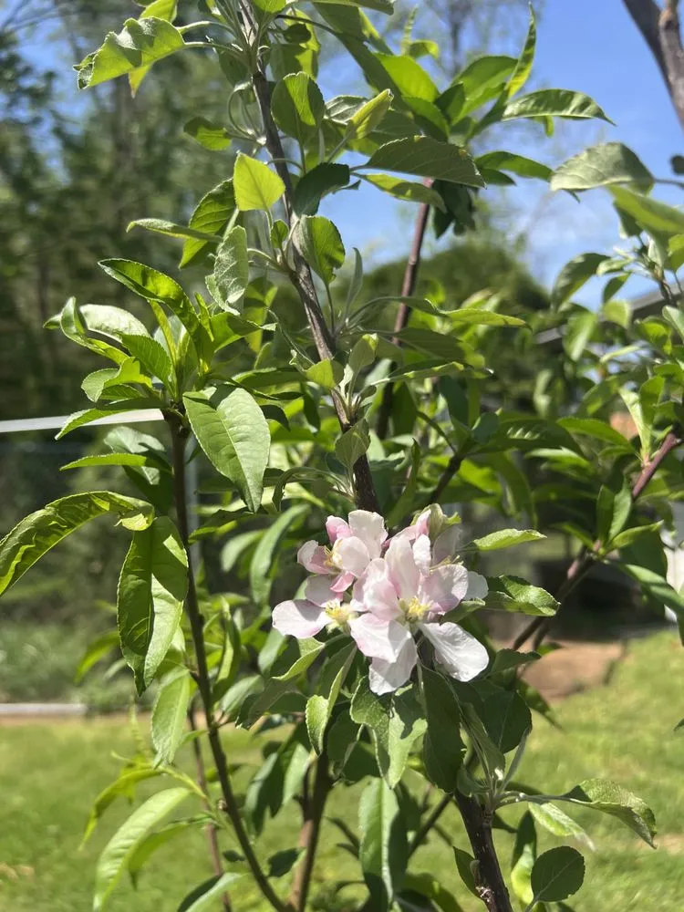 Top-rated outdoor landscaping for beautiful yards across Vonore, TN - Huntoon’s Landscaping