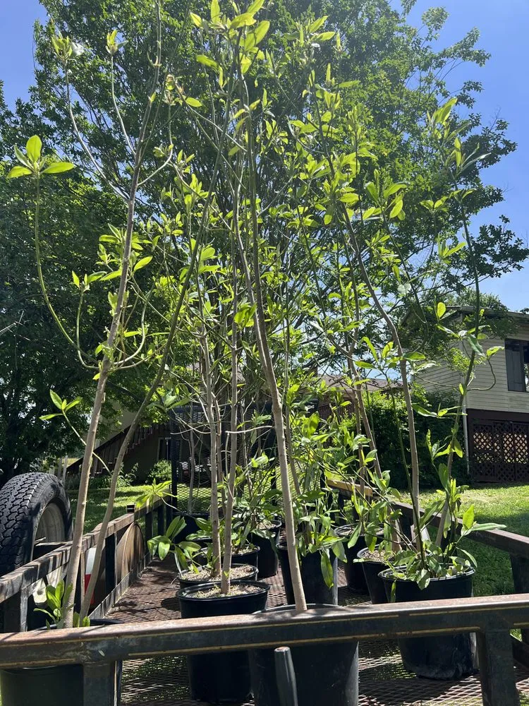 Expert garden landscaping for outdoor upgrades across Vonore, TN - Huntoon’s Landscaping