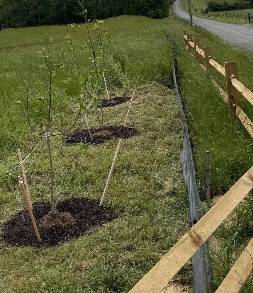 Custom outdoor landscaping in Vonore, TN by Huntoon’s Landscaping