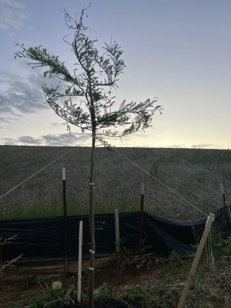 Reliable yard cleanup service for beautiful yards across Vonore, TN - Huntoon’s Landscaping