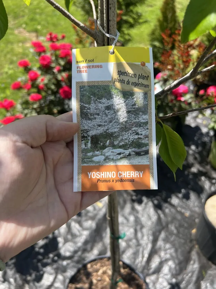 Professional outdoor landscaping near you across Vonore, TN - Huntoon’s Landscaping