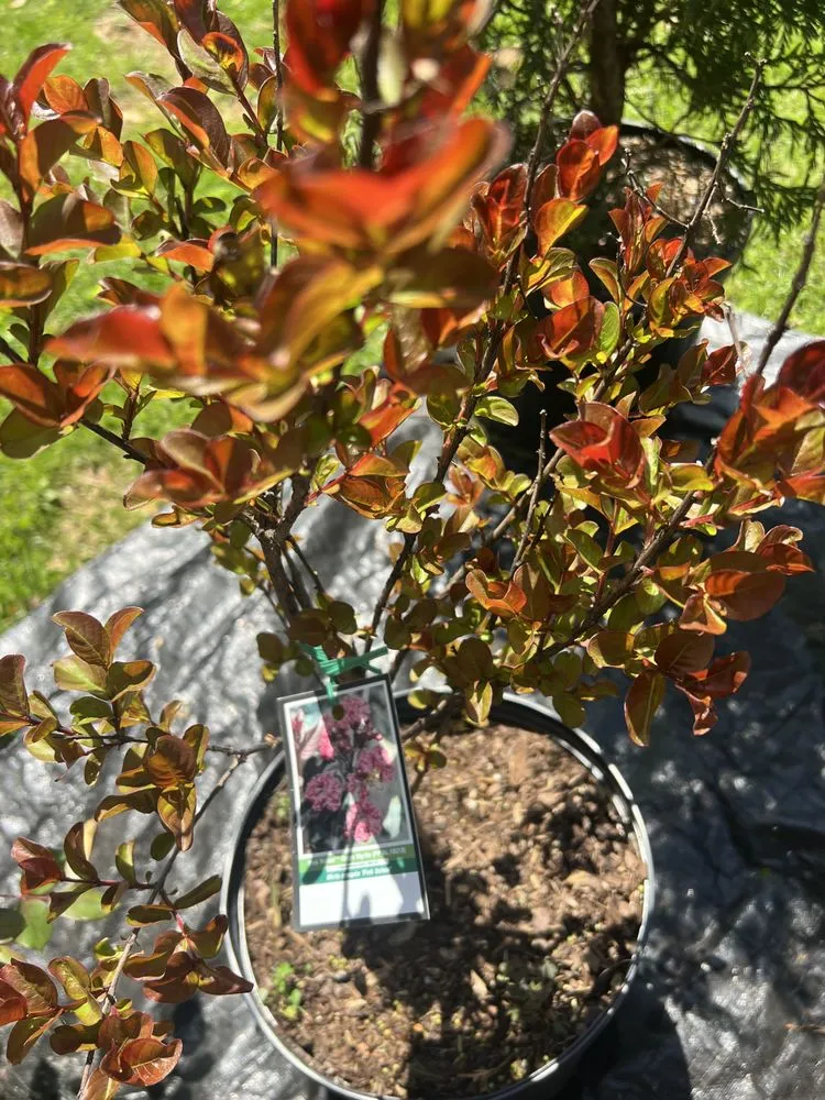 Local lawn mowing service experts serving Vonore, TN - Huntoon’s Landscaping