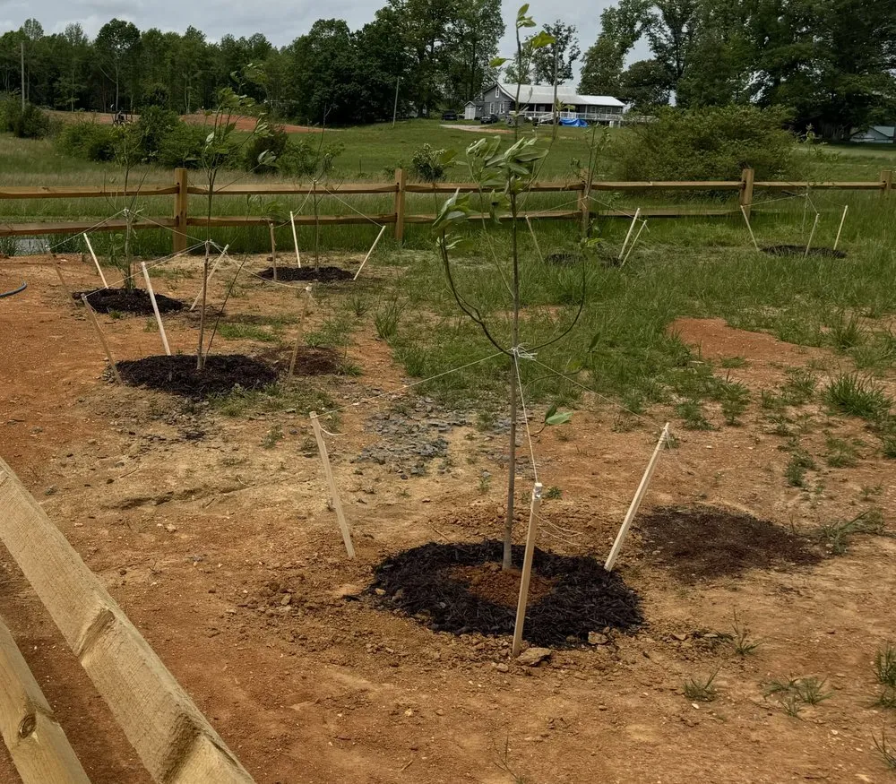 Affordable lawn care service experts serving Vonore, TN - Huntoon’s Landscaping