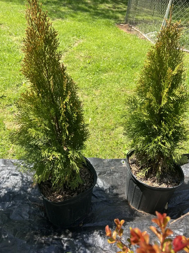 Affordable outdoor landscaping for beautiful yards in Vonore, TN by Huntoon’s Landscaping