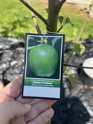 Huntoon’s Landscaping