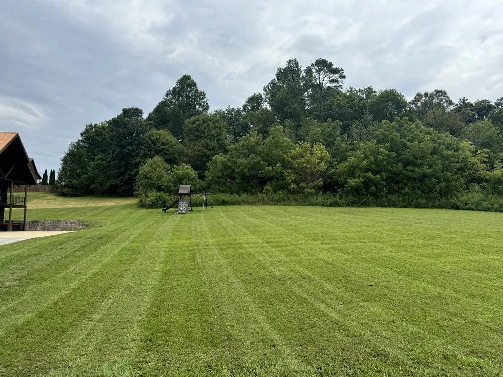 Reliable yard maintenance in Pigeon Forge, TN - Hunts Green Care