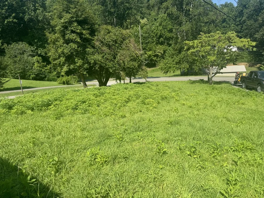 Professional landscape installation experts serving Pigeon Forge, TN - Hunts Green Care