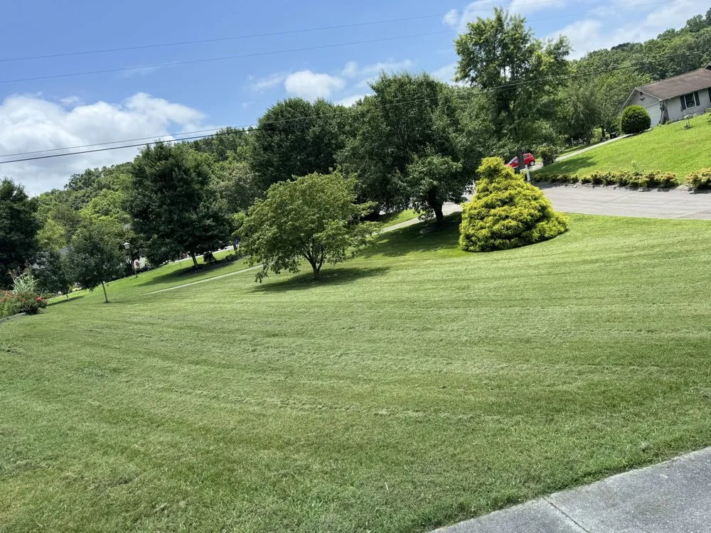 Expert yard maintenance for year-round maintenance in Pigeon Forge, TN by Hunts Green Care