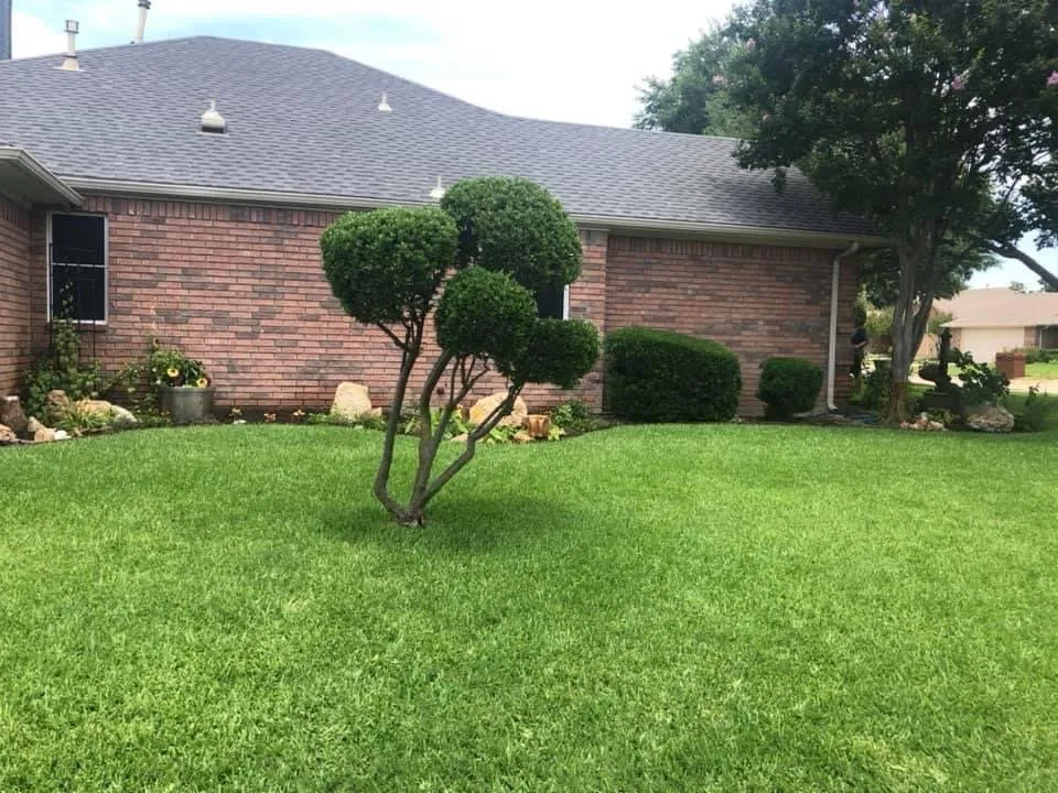 Trusted outdoor landscaping experts serving Canyon Lake, TX - Hunts Lakeside Services