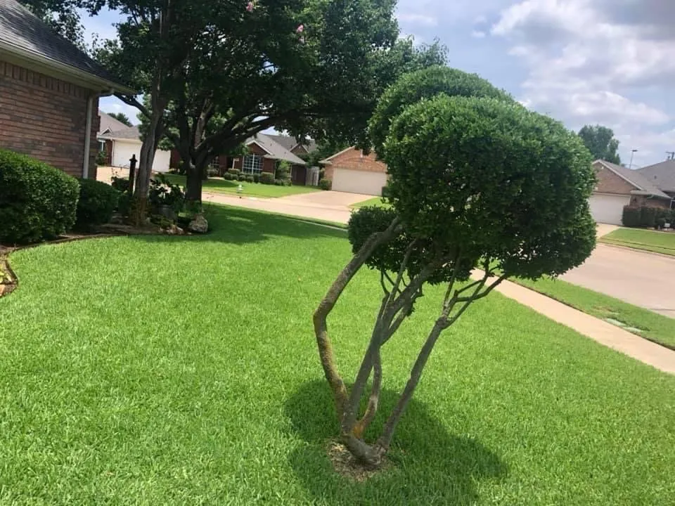 Top-rated lawn care service with custom design across Canyon Lake, TX - Hunts Lakeside Services