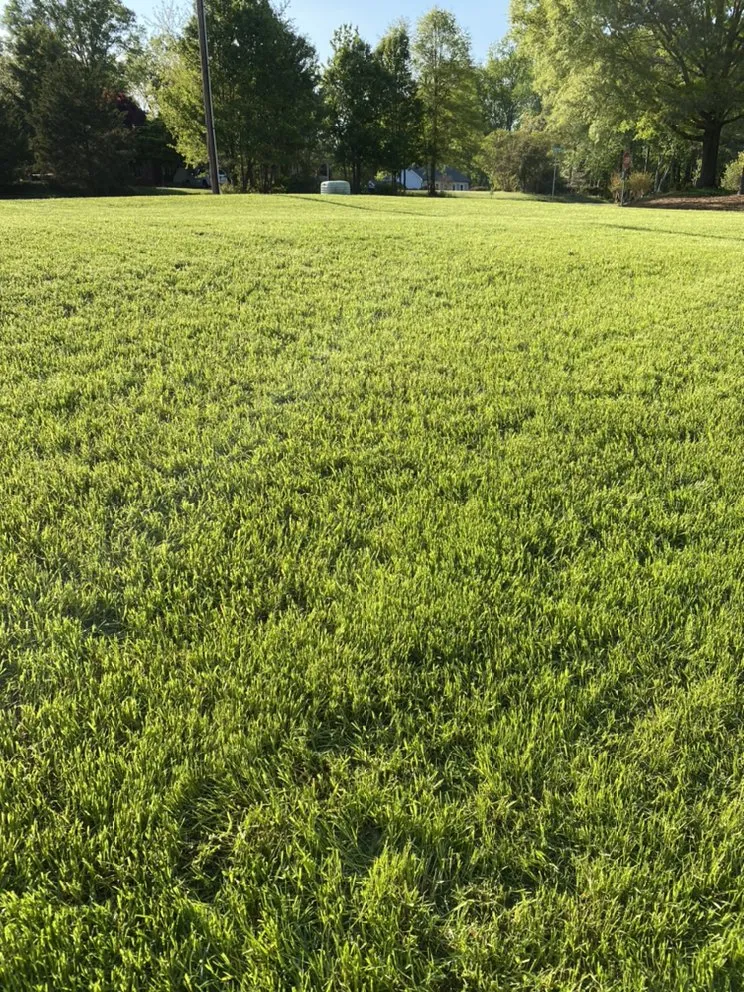 Reliable lawn care service in Durham, NC by Hunt’s Lawn Care