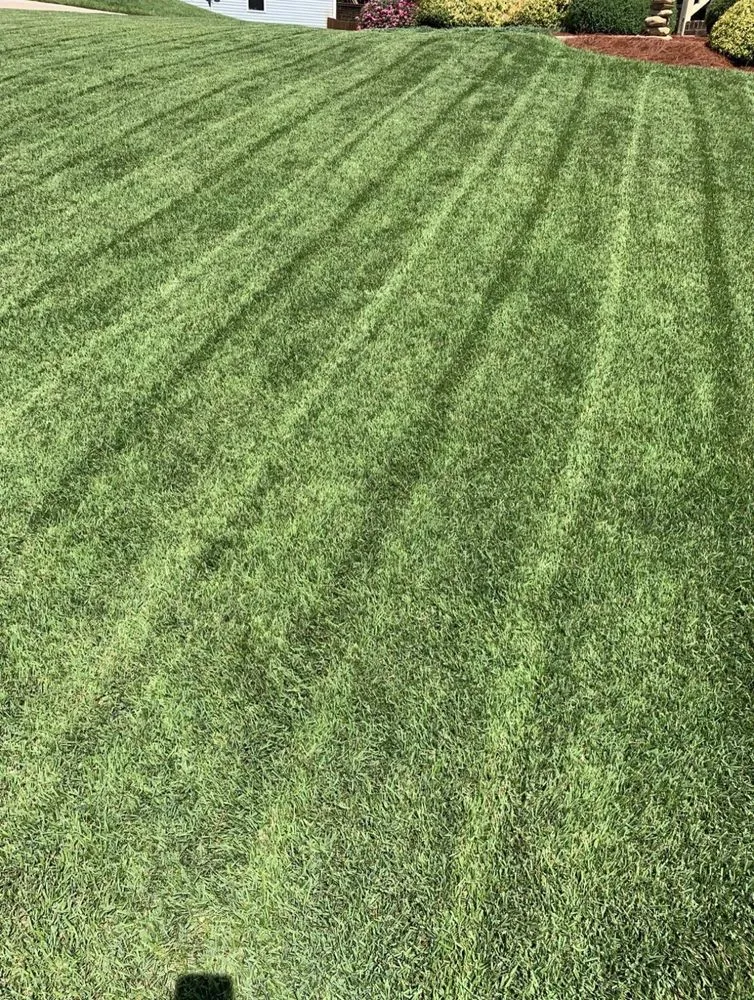 Expert landscape design for year-round maintenance across Durham, NC - Hunt’s Lawn Care