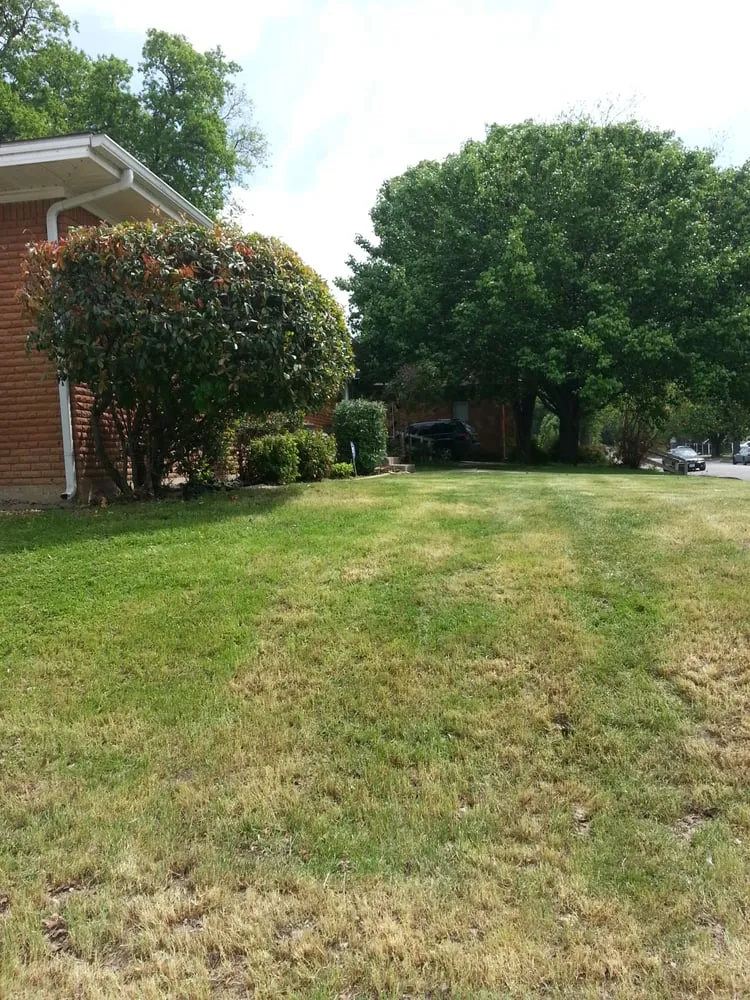Professional yard maintenance in Benbrook, TX by Hunt's Lawn Service