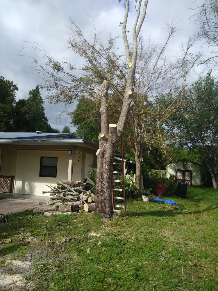 Trusted landscape installation experts serving Melbourne, FL - Hunts lawn service