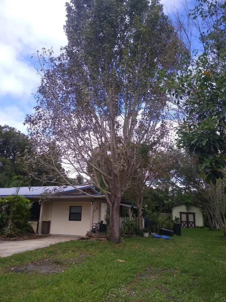 Local garden landscaping near you in Melbourne, FL by Hunts lawn service