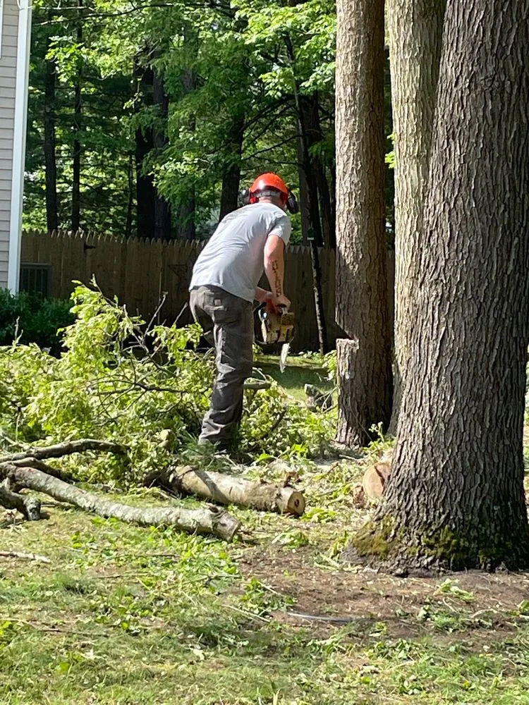 Reliable outdoor landscaping experts serving Cambridge, NY - Hunts Property Management