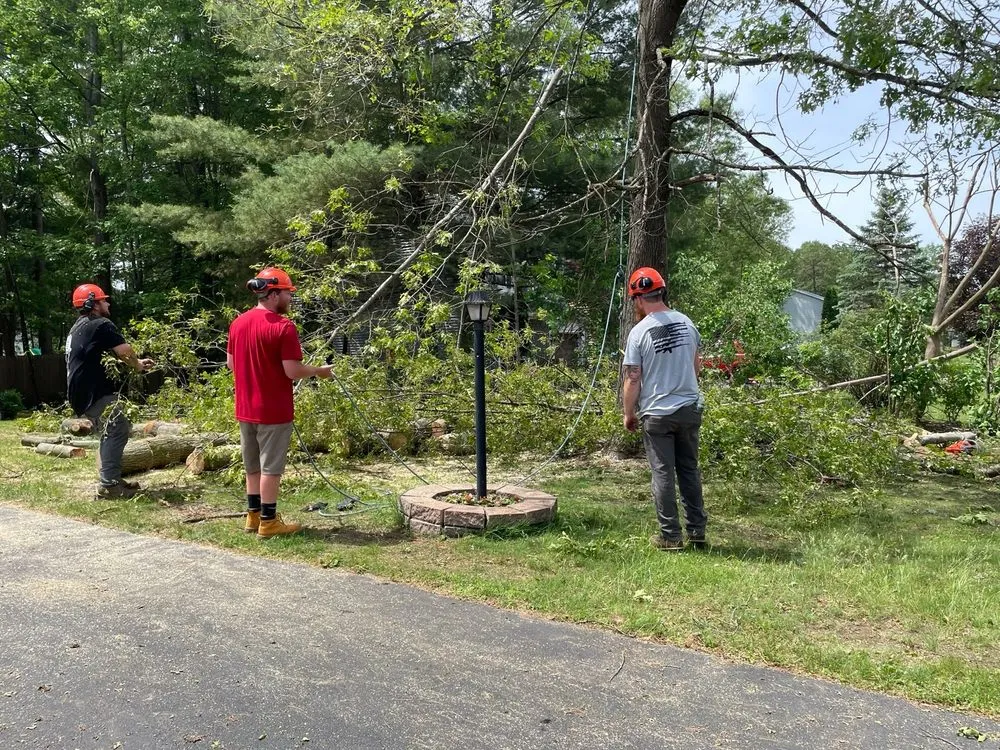 Expert residential landscaping for outdoor upgrades across Cambridge, NY - Hunts Property Management