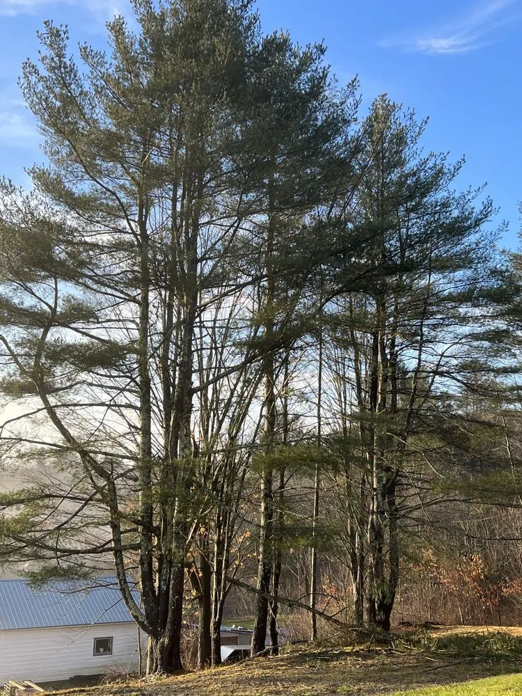 Custom garden landscaping with custom design across Cambridge, NY - Hunts Property Management