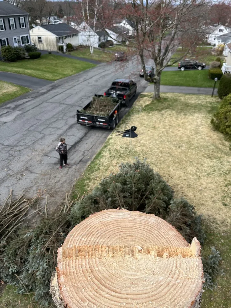 Professional lawn mowing service experts serving Cambridge, NY - Hunts Property Management