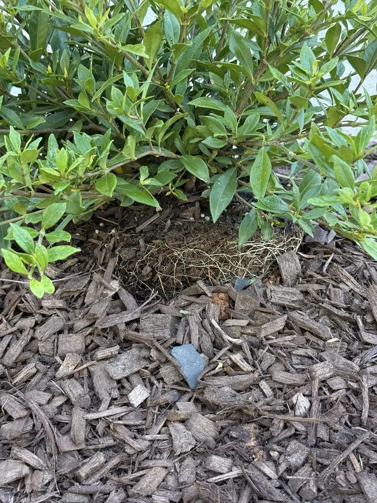 Reliable garden landscaping experts serving Raleigh, NC - HuntScapes