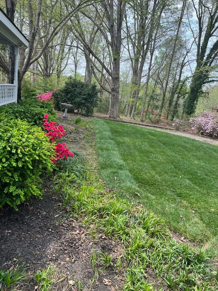 Professional yard cleanup service experts serving Raleigh, NC - HuntScapes