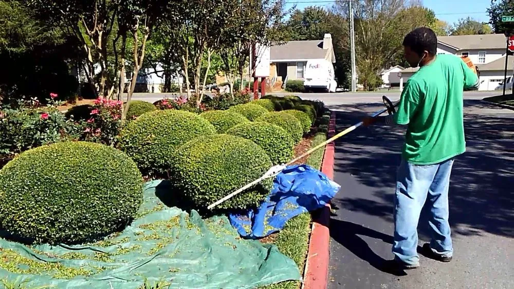 Affordable lawn care service for year-round maintenance in Huntsville, AL by Huntsville Lawn Care